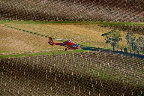 Yarra Valley Wine, Food & Fly Daytour